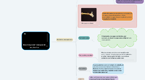 Mind Map: ambientes