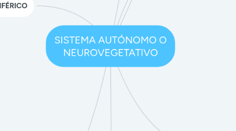 Mind Map: SISTEMA AUTÓNOMO O NEUROVEGETATIVO