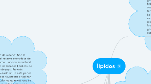 Mind Map: lipidos