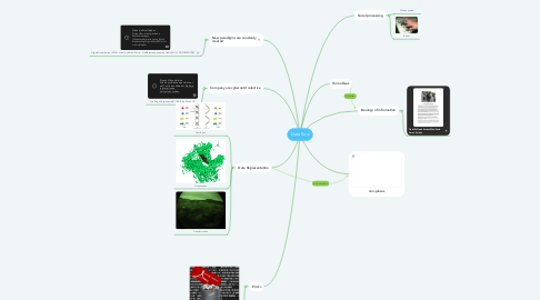 Mind Map: Data flow