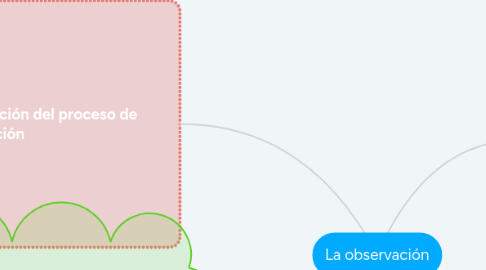 Mind Map: La observación