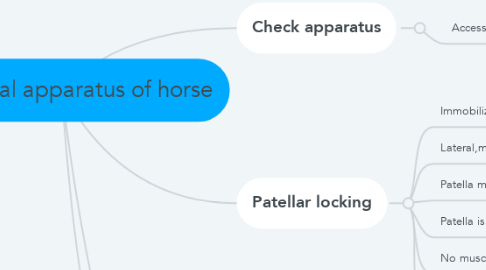 Mind Map: Reciprocal apparatus of horse