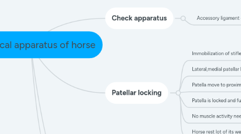 Mind Map: Reciprocal apparatus of horse