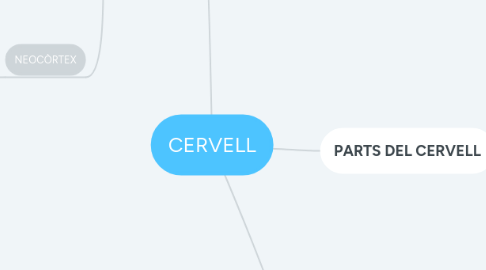 Mind Map: CERVELL