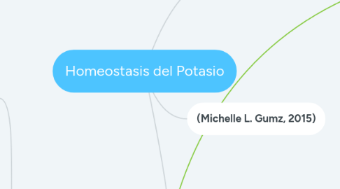 Mind Map: Homeostasis del Potasio