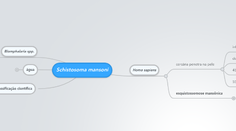 Mind Map: Schistosoma mansoni