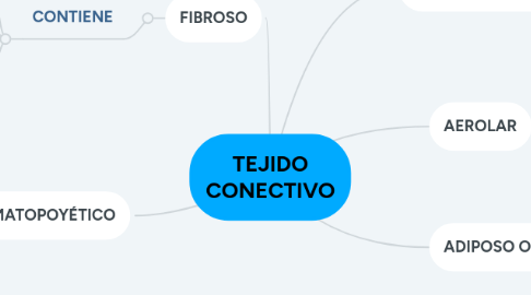 Mind Map: TEJIDO CONECTIVO