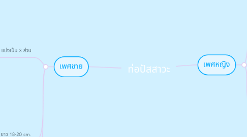 Mind Map: ท่อปัสสาวะ