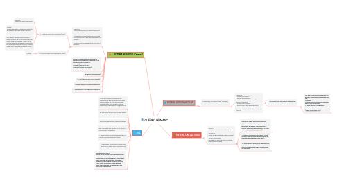 Mind Map: CUERPO HUMANO