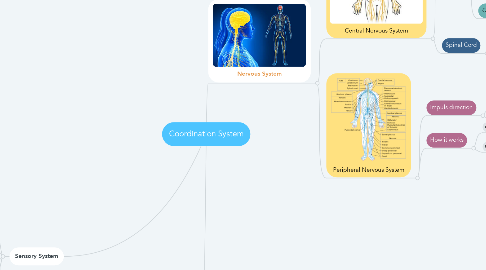 Mind Map: Coordination System