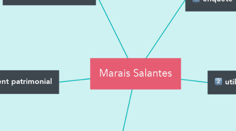 Mind Map: Marais Salantes