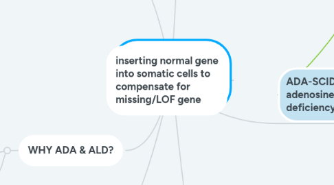 Mind Map: GENE REPLACEMENT THERAPY