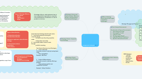 Mind Map: management strategies