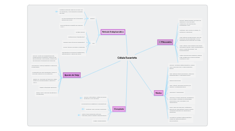 Mind Map: Célula Eucariota