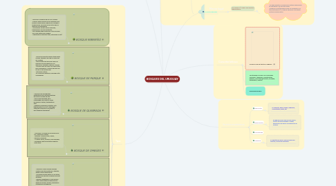 Mind Map: BOSQUES DEL URUGUAY