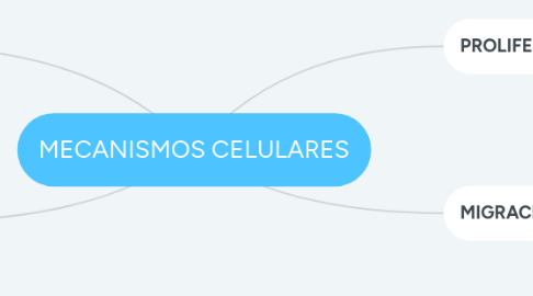 Mind Map: MECANISMOS CELULARES
