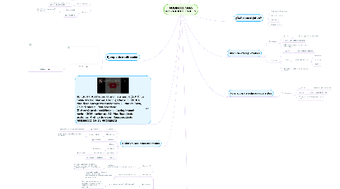 Mind Map: MODIFICACIONES POSTRADUCCIONALES