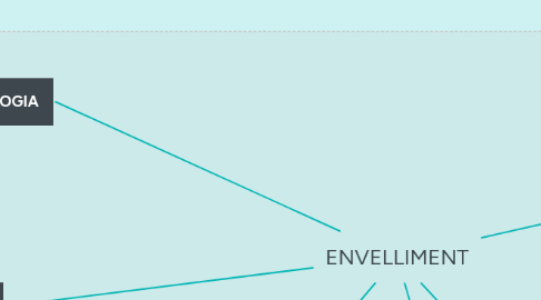 Mind Map: ENVELLIMENT