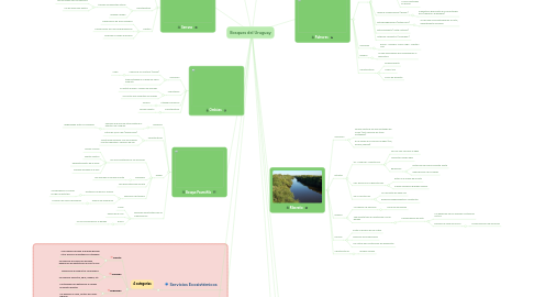 Mind Map: Bosques del Uruguay