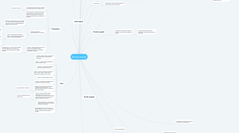 Mind Map: Biologia Vegetal