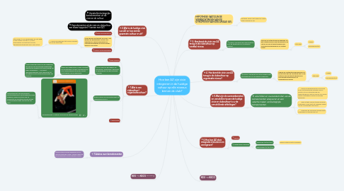 Mind Map: Hoe kan AZ zijn visie integreren in de huidige cultuur op alle niveaus binnen de club?