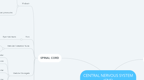 Mind Map: CENTRAL NERVOUS SYSTEM (CNS)
