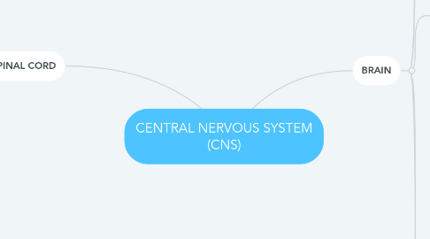 Mind Map: CENTRAL NERVOUS SYSTEM (CNS)