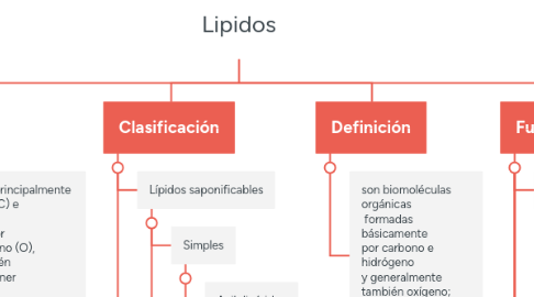 Mind Map: Lipidos