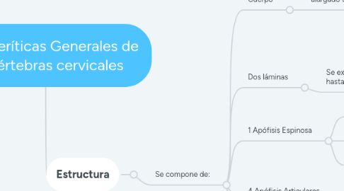 Mind Map: Caracteríticas Generales de las vértebras cervicales
