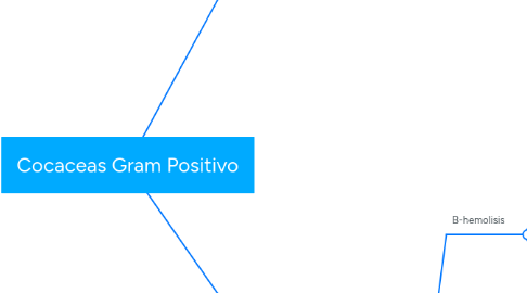 Mind Map: Cocaceas Gram Positivo