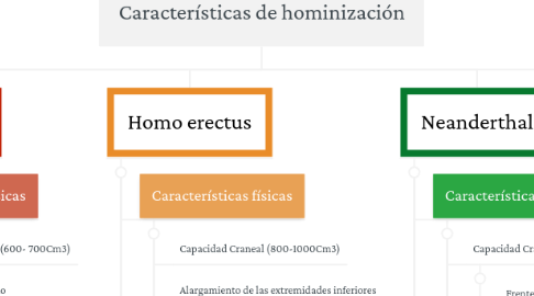 Mind Map: Características de hominización