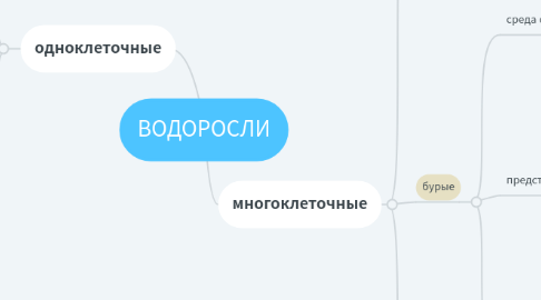 Mind Map: ВОДОРОСЛИ