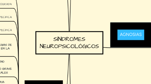 Mind Map: SÍNDROMES NEUROPSICOLÓGICOS