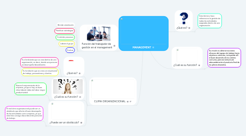 Mind Map: MANAGEMENT