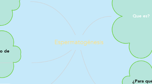 Mind Map: Espermatogénesis