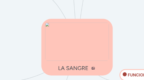 Mind Map: LA SANGRE