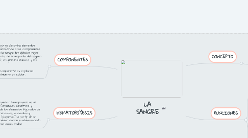 Mind Map: LA SANGRE