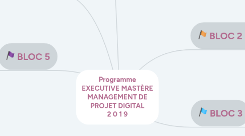 Mind Map: Programme EXECUTIVE MASTÈRE MANAGEMENT DE PROJET DIGITAL 2 0 1 9