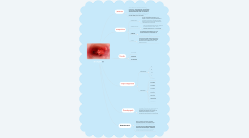 Mind Map: La sangre