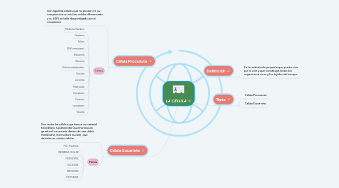 Mind Map: LA CÉLULA