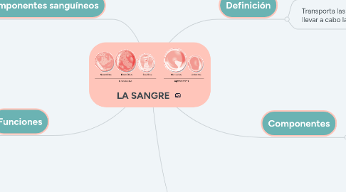 Mind Map: LA SANGRE