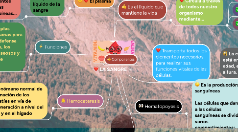 Mind Map: LA SANGRE