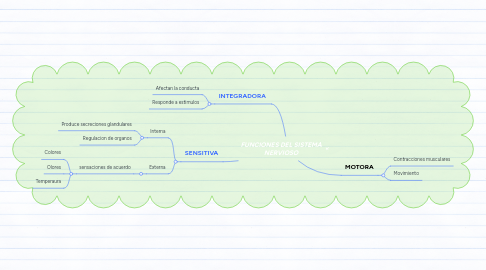 Mind Map: FUNCIONES DEL SISTEMA NERVIOSO