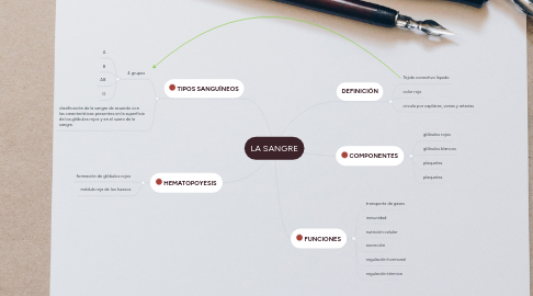 Mind Map: LA SANGRE
