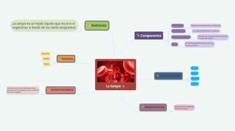 Mind Map: La Sangre