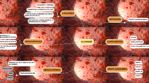 Mind Map: LA SANGRE