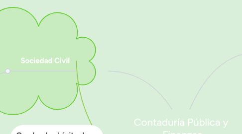 Mind Map: Contaduría Pública y Finanzas