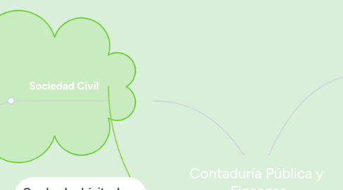 Mind Map: Contaduría Pública y  Finanzas