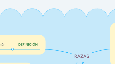 Mind Map: RAZAS