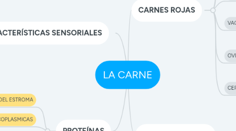 Mind Map: LA CARNE